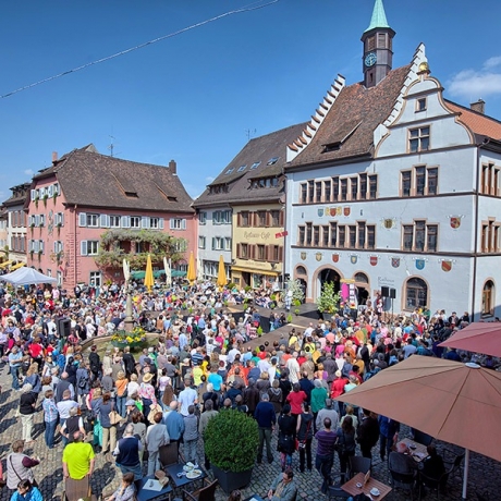 Blühendes Staufen mit Modemeile