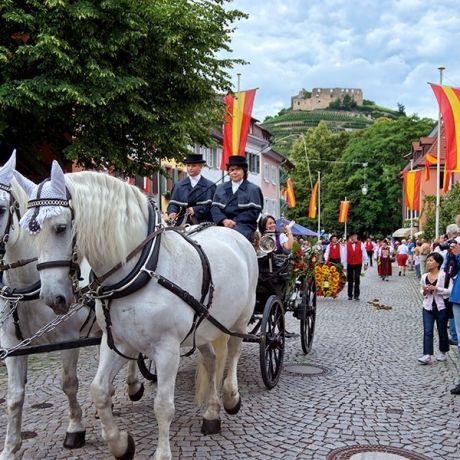 Markgräfler Weinfest